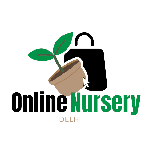 online nursery delhi logo