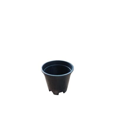 Black Pot