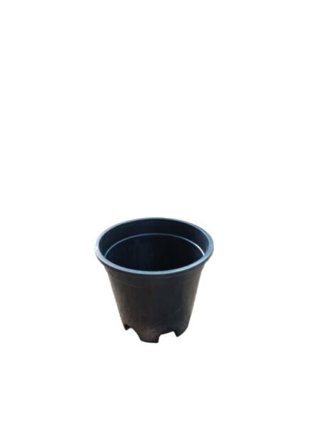 Black Pot